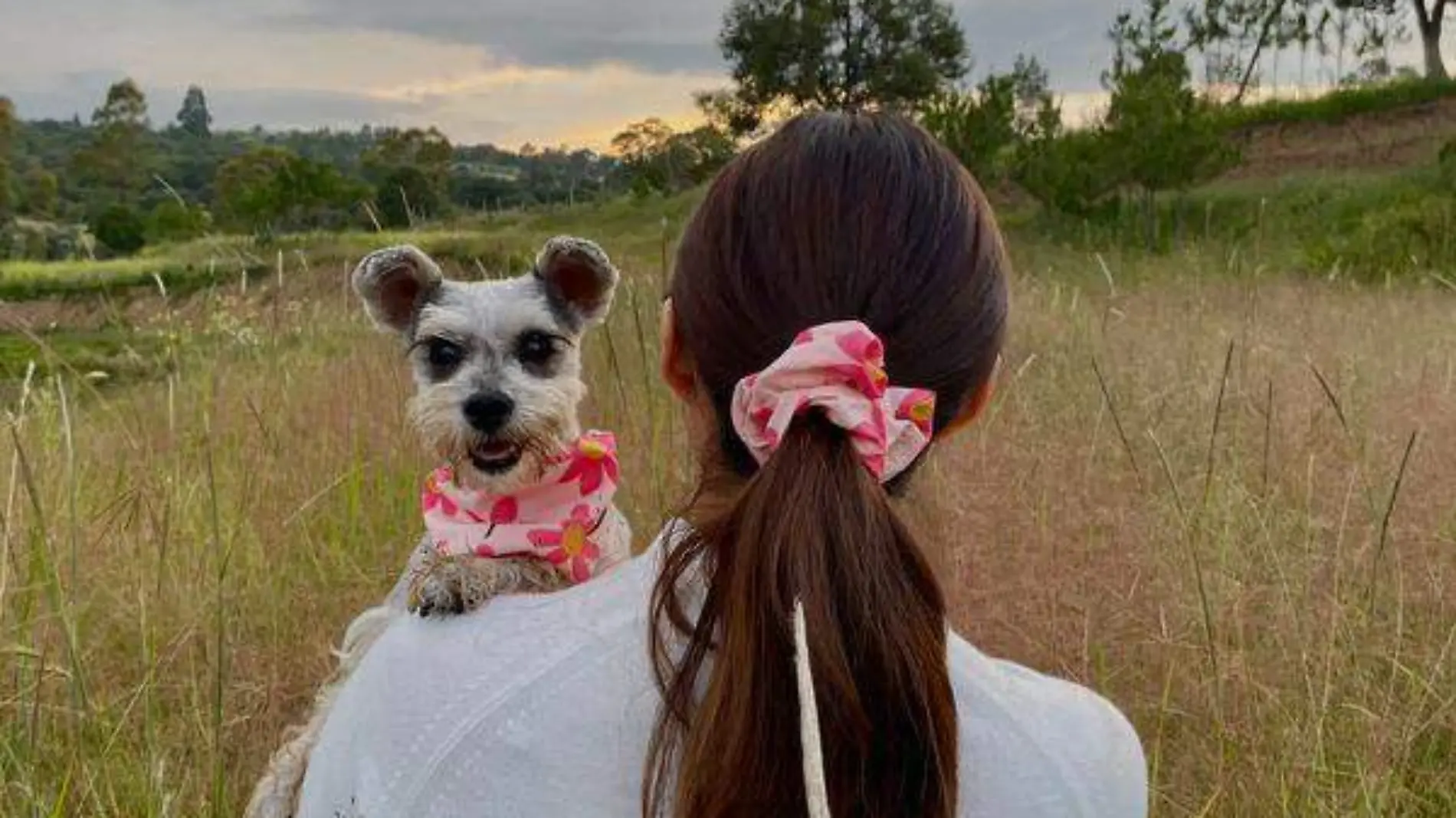 Haz que tu lomito luzca genial con estos diseños que podrás combinar con moños y scrunchies para ti Cortesía Adriana Velázquez